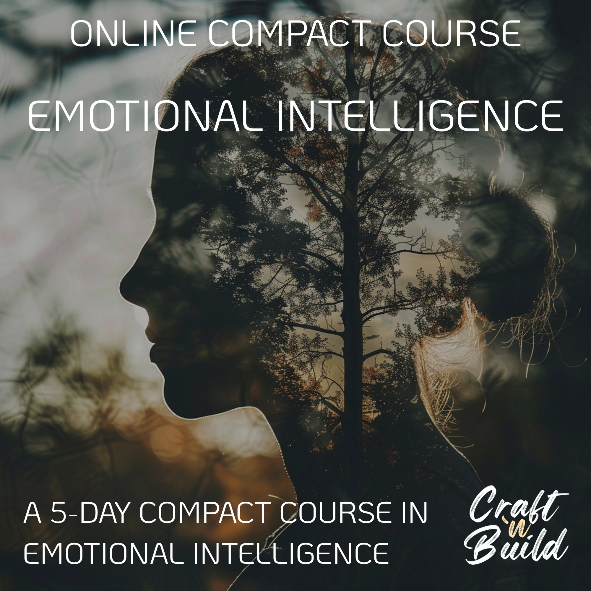 Emotional Intelligence: The EQ Edge 5-Day Course Cover Image