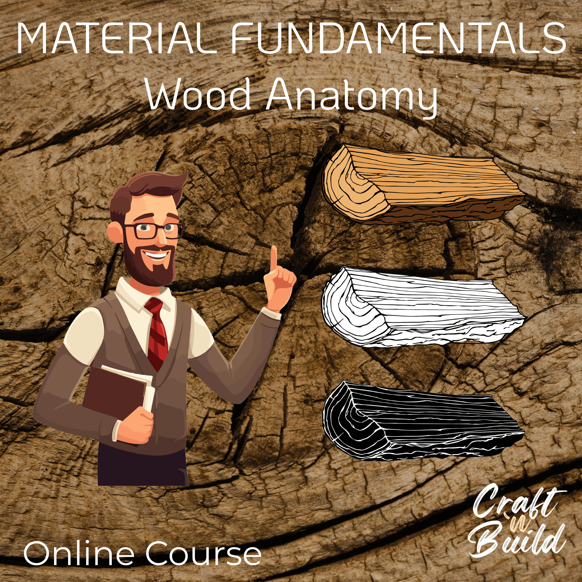 Material Fundamentals — Wood Anatomy - Craft'n Build