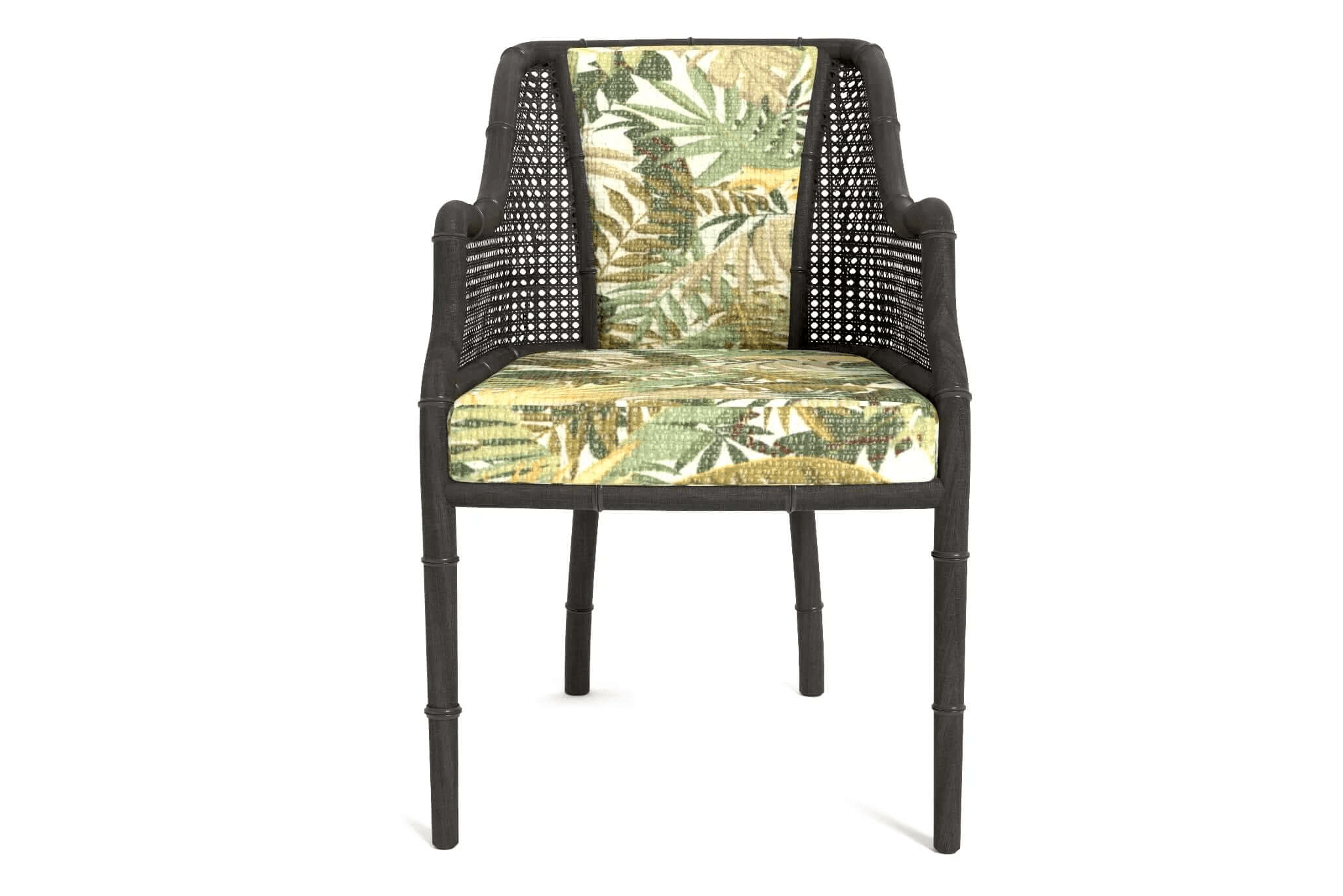 3D CAD model of Carlton Dining Chair with wooden frame, cane backrest, and tropical fabric upholstery