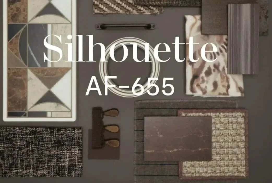 Benjamin Moore Silhouette: 2026 Color of the Year – Curating the Perfect Color Palette for Modern Living - Craft'n Build