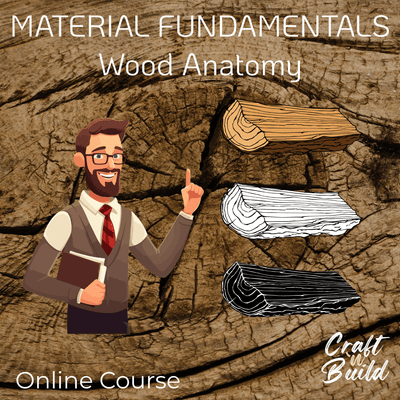 Material Fundamentals — Wood Anatomy - Craft'n Build