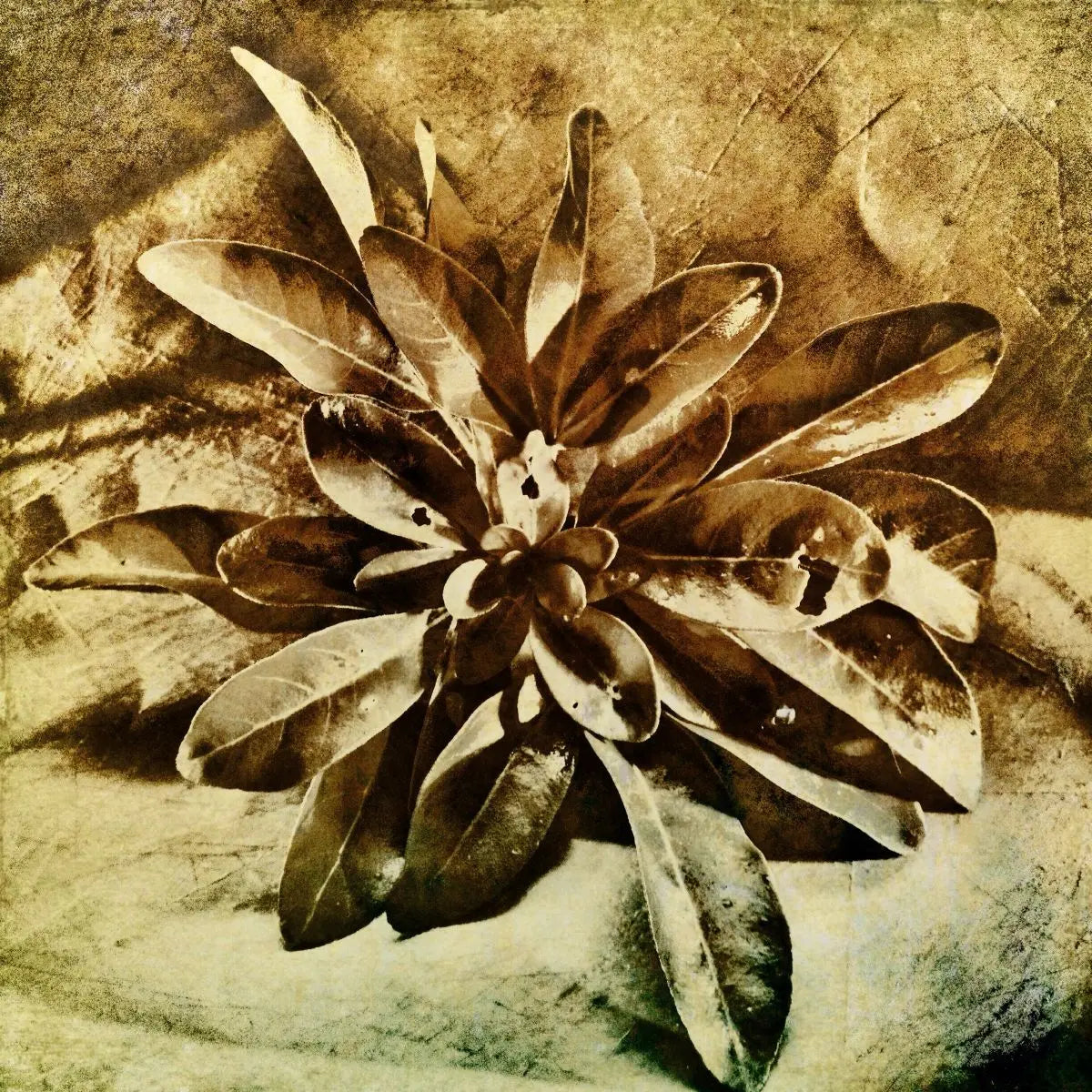 The art of eglomise, learn how to create reversed layered art on glass. LearnWorlds